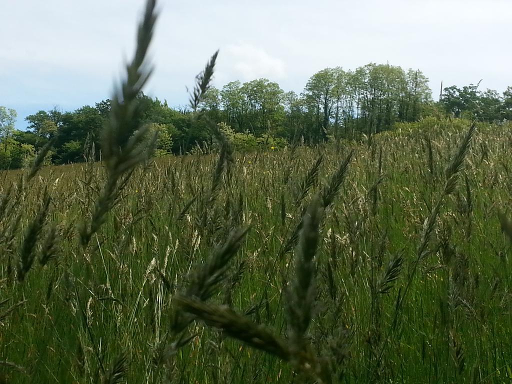 Farmstay Alpagaterie Juillac (Correze) Bagian luar foto