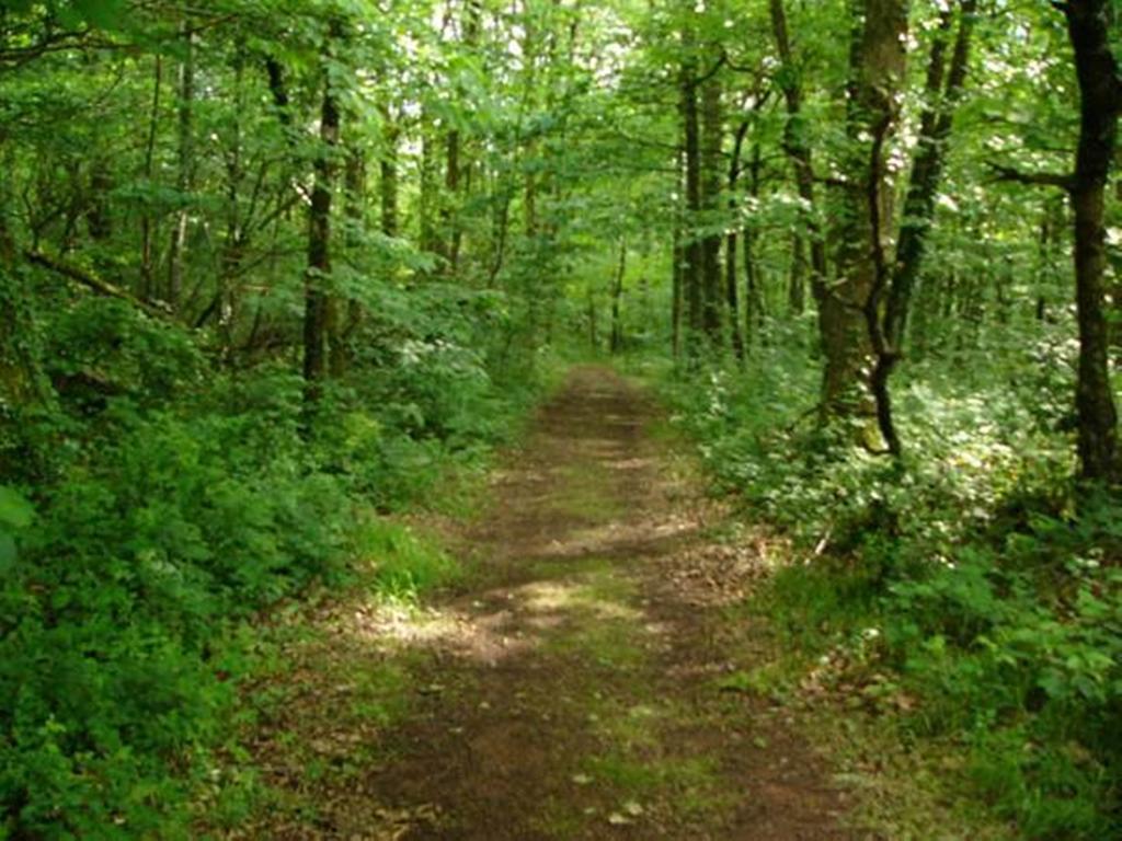 Farmstay Alpagaterie Juillac (Correze) Bagian luar foto